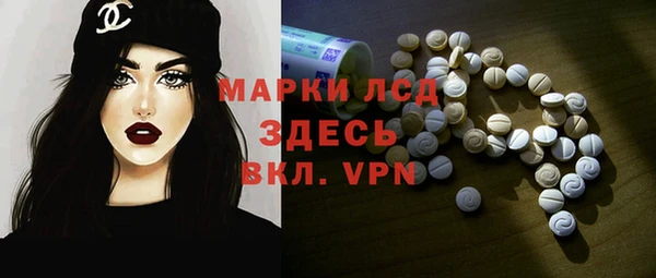 spice Гусиноозёрск