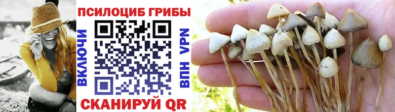 Галлюциногенные грибы мицелий  как найти закладки  Рыбинск 